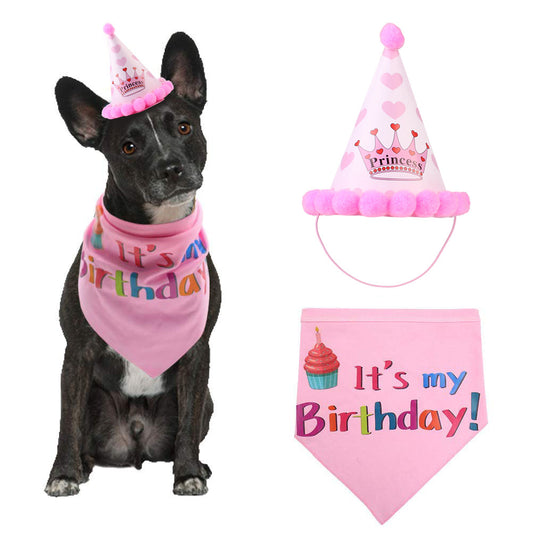 Dog birthday hat pet hat